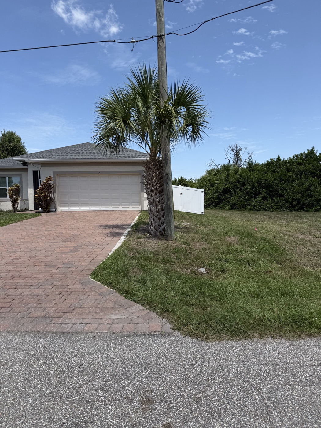 Trimmed front-yard palm and tidy lawn after service in Port Charlotte