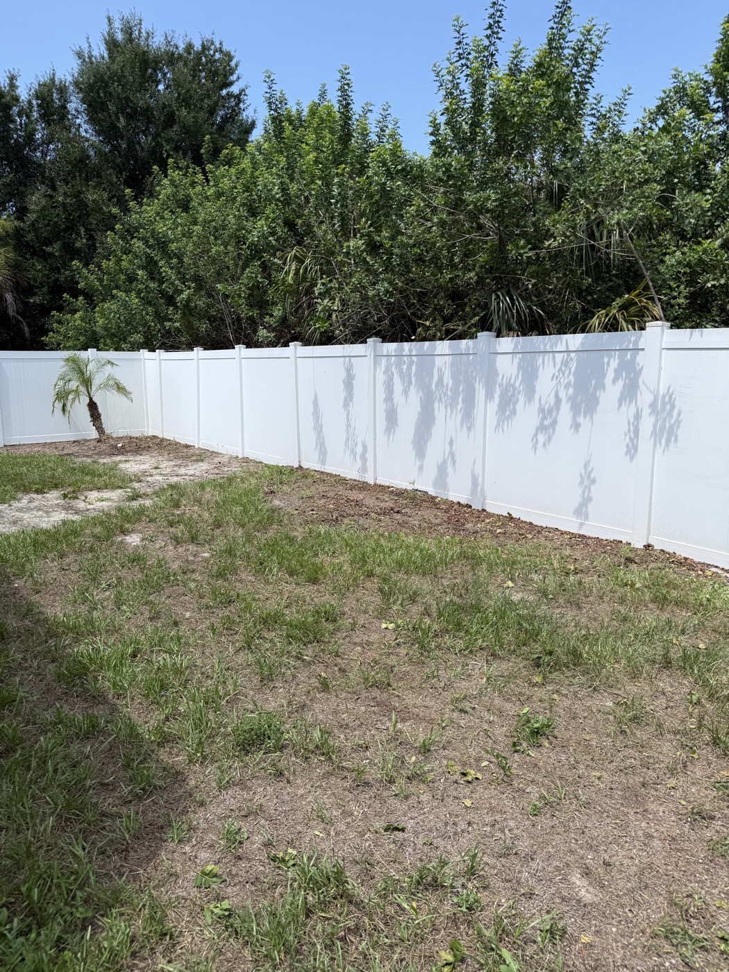 Backyard fence line cleared and trees cut back after service